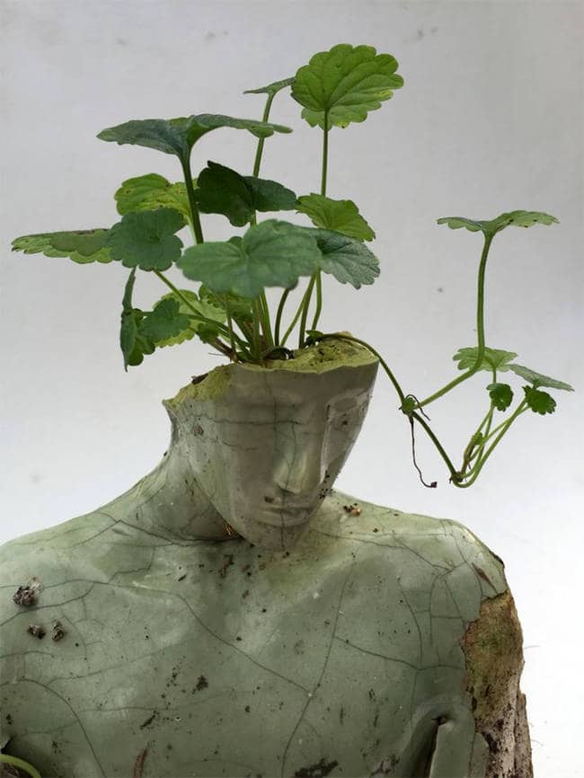 Sculpture – Plants and Emil Alzamora.