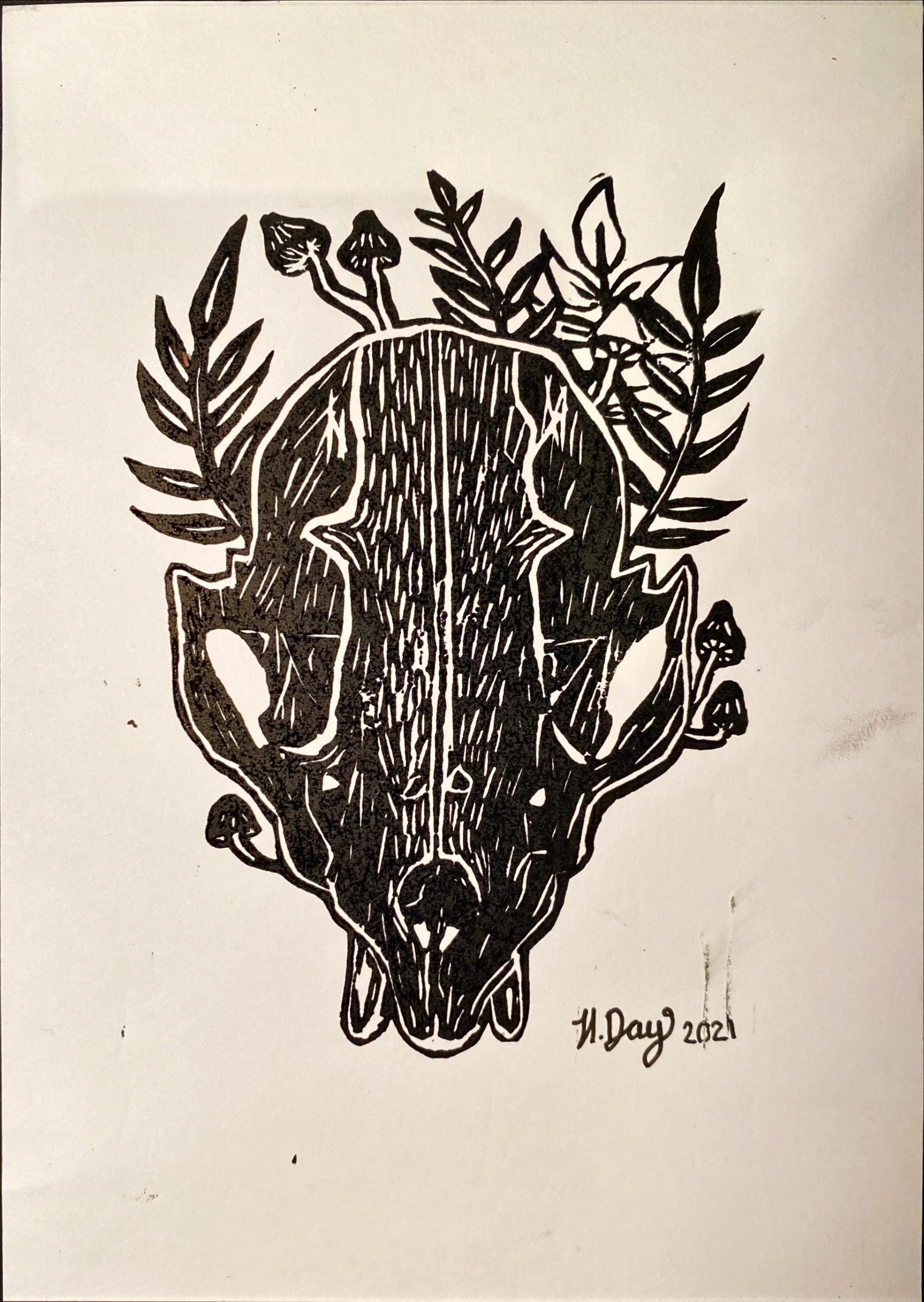 print – fennec fox skull (lino print)