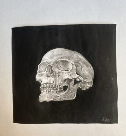 drawing – skulls